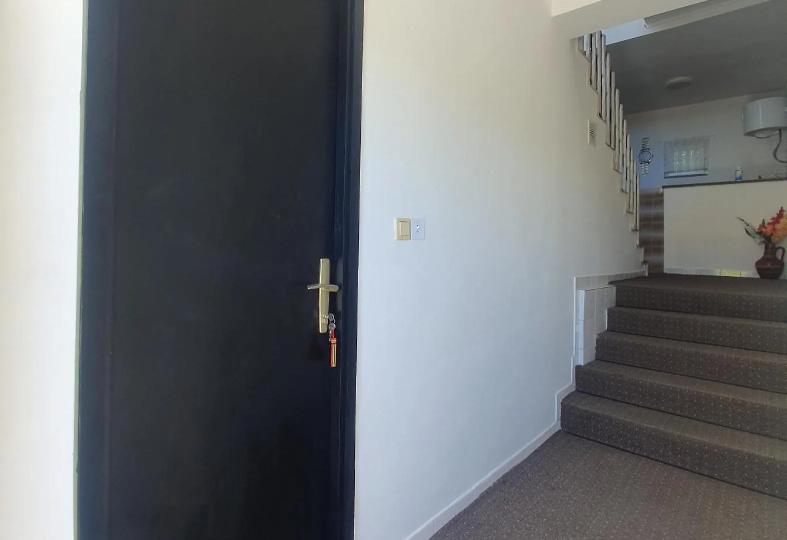 Apartmani Pucarin Punat 0*,  Chorwacja